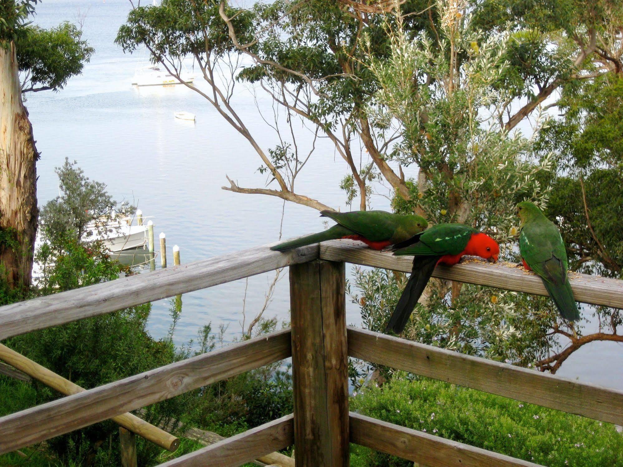 Apartamento Jetty Road Retreat Nungurner Exterior foto